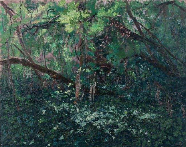 Sous-bois à Champvent, Louis Thibaudet, 1971