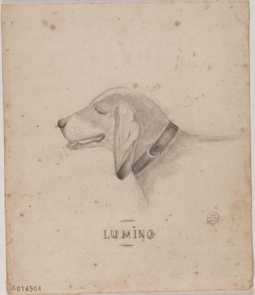 Lumino, Georges Mathey, 1er quart 20e siècle