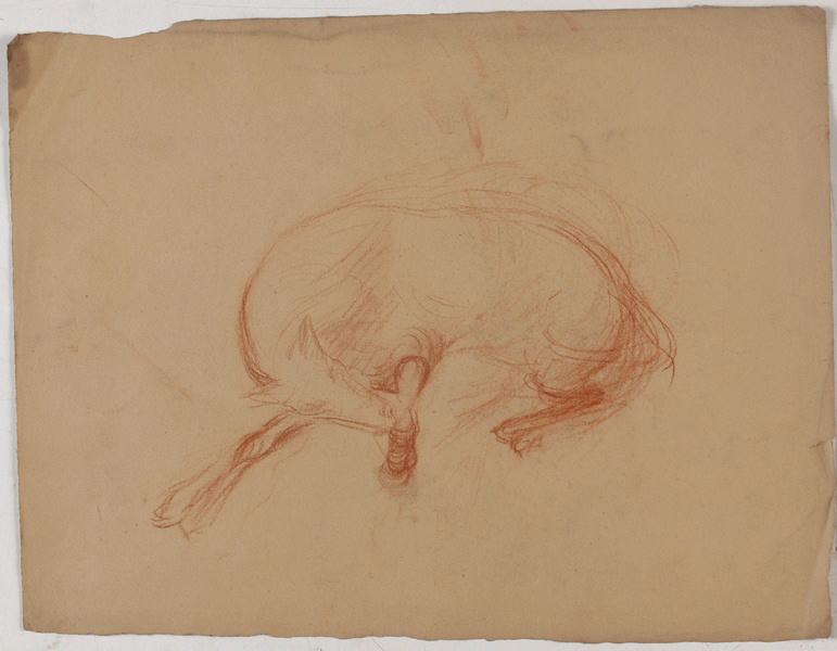 Esquisse de cheval (au recto) ; Tête d'homme barbu (au verso), Georges Mathey, 1er quart 20e siècle