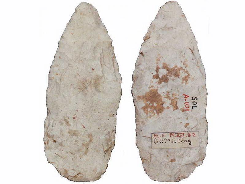 Feuille de laurier_0