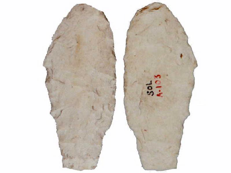 Feuille de laurier_0