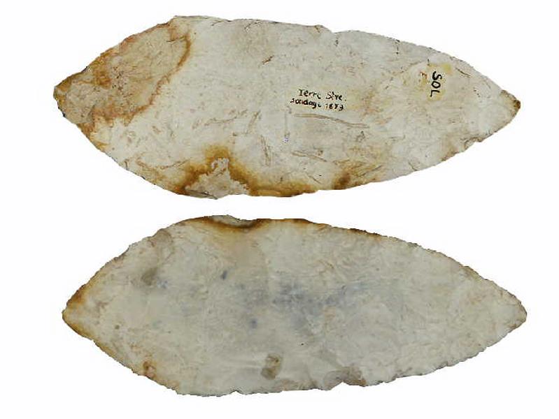 Feuille de laurier_0