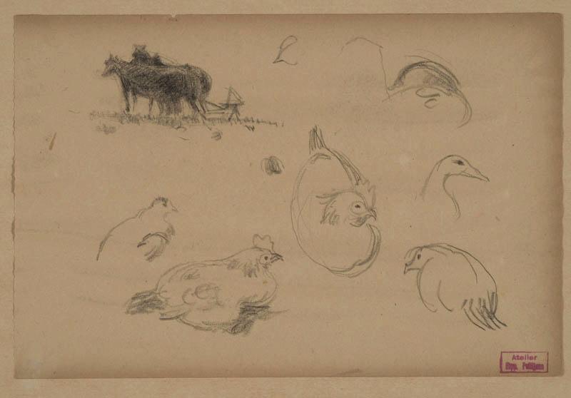 Etudes d'animaux, Hippolyte Petitjean, 1er quart 20e siècle