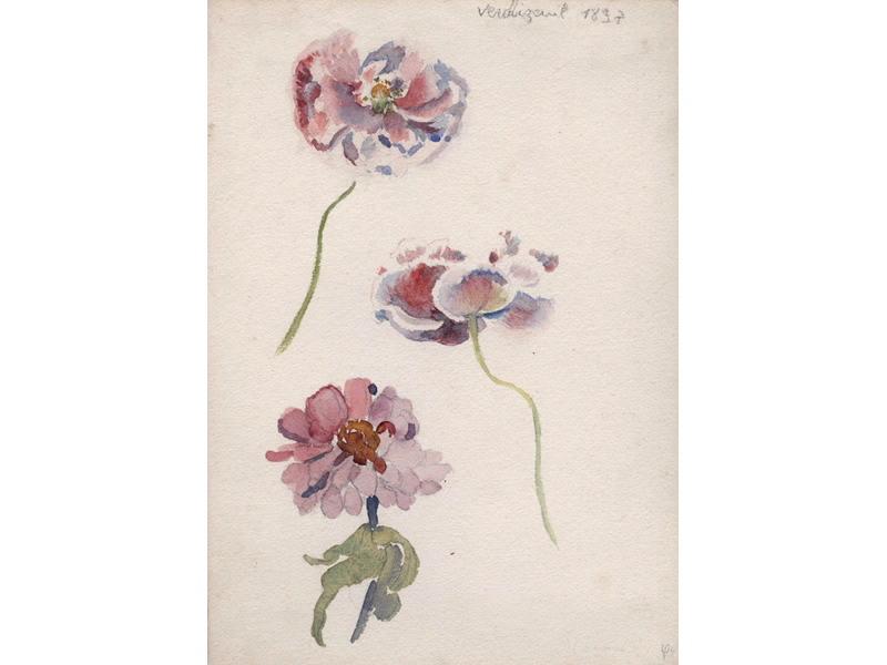 Verchizeuil, Anémones (recto) ; Paysage (verso), Hippolyte Petitjean, 1897