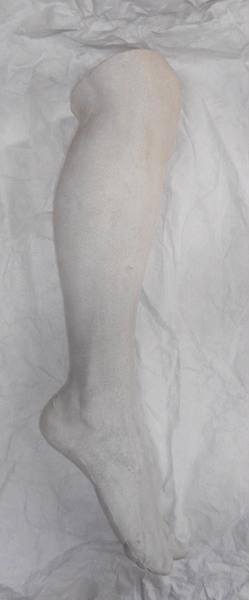 Jambe et pied humain, Louis Kley, 1853-1911