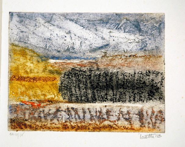 Refuge des passereaux, Marc Antoine Louttre, 1994