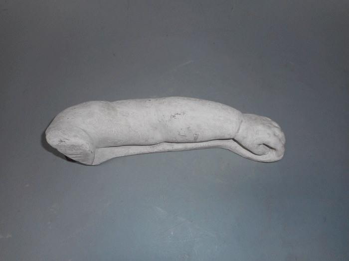 Bras et main d'un bébé, Louis Kley, 1853-1911