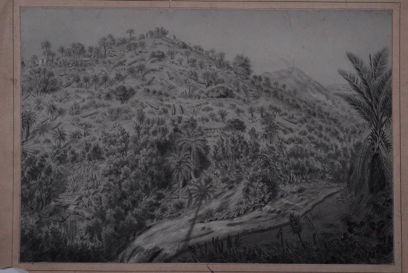 Paysage exotique, Emile Edmond Peynot, 20e siècle