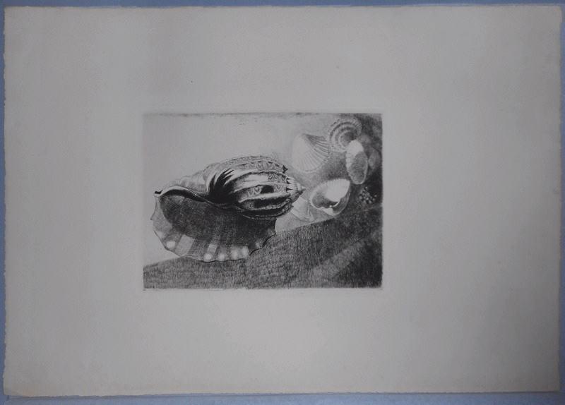 Sept coquillages, René Binet, 4e quart 19e siècle