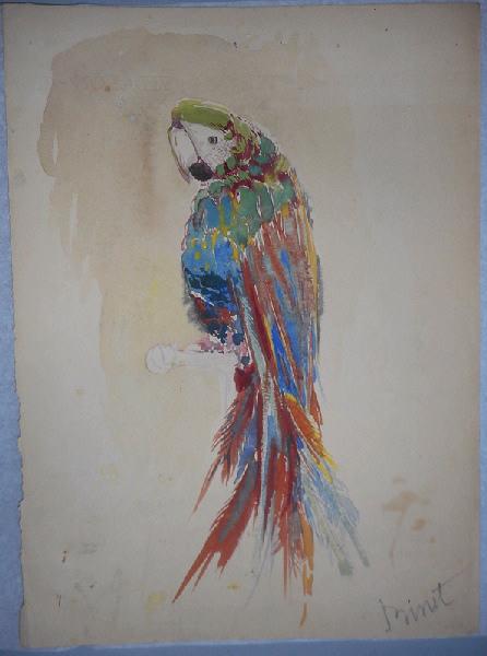 Perroquet, René Binet, 4e quart 19e siècle, 1er quart 20e siècle