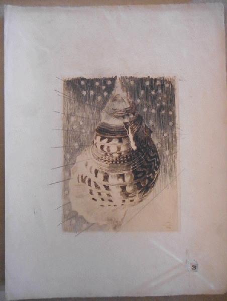Coquillage, René Binet, 4e quart 19e siècle