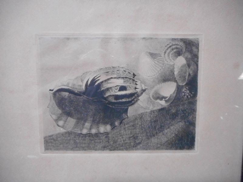 Coquillages, René Binet, 4e quart 19e siècle