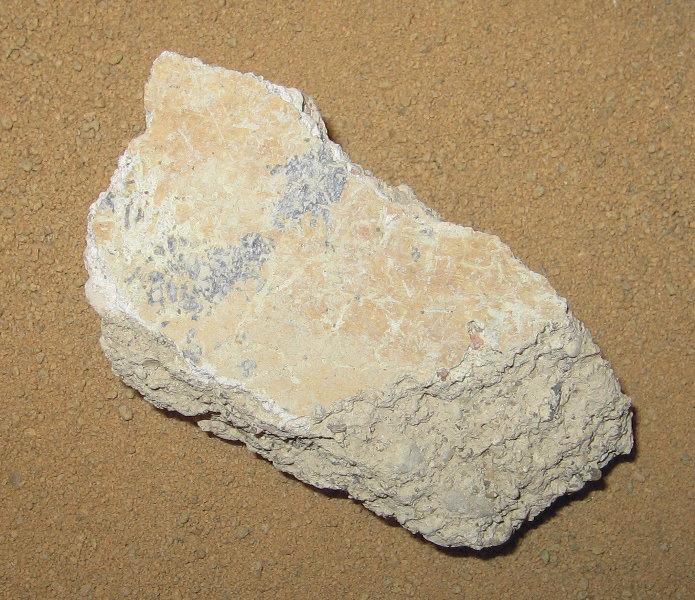 peinture murale (fragment)