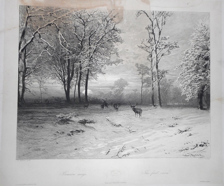Première neige, Julius Marák