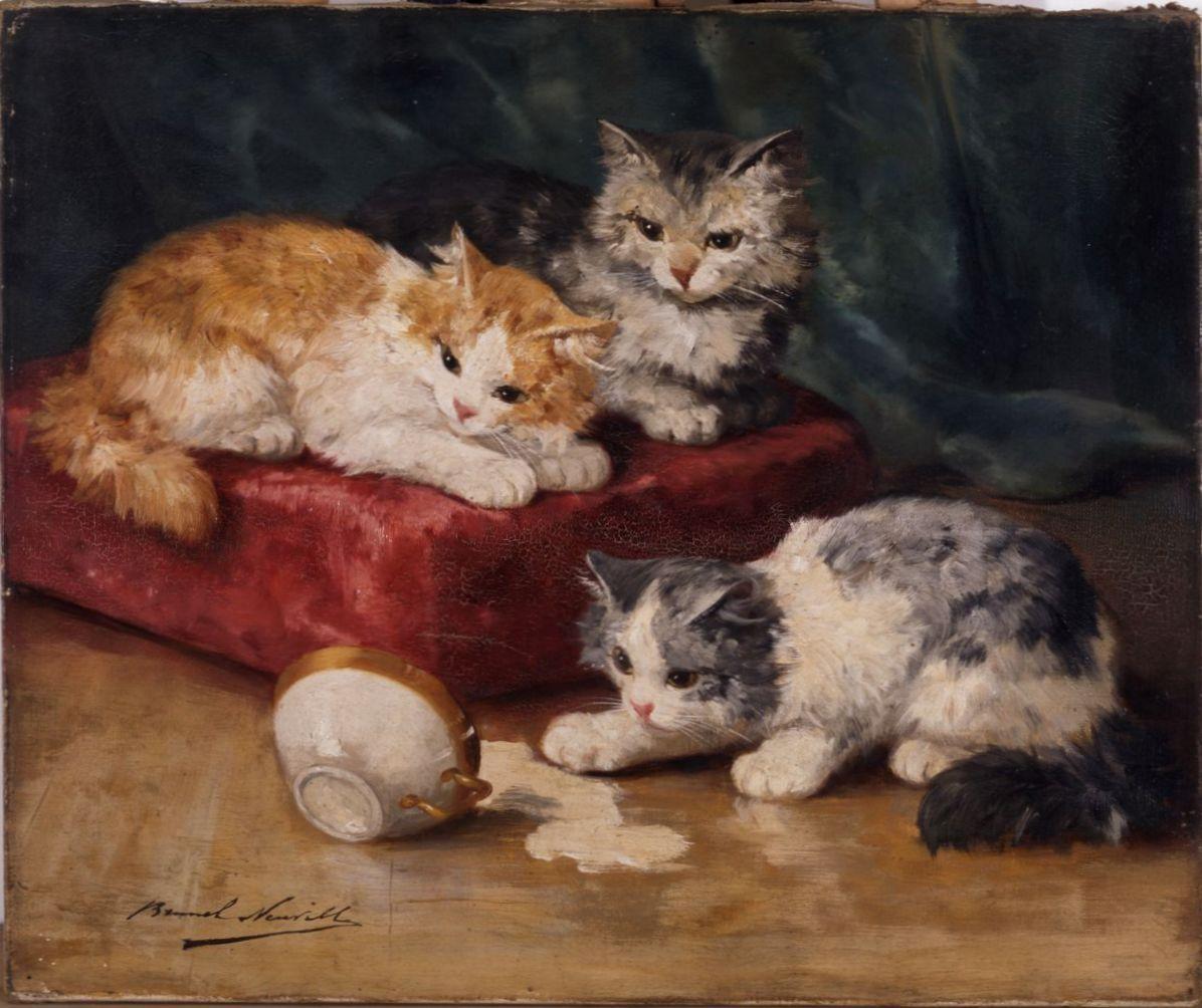Les chats_0