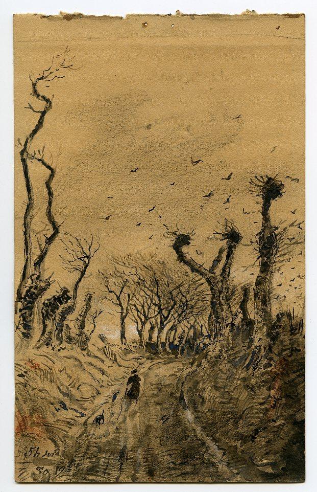 Chemin bordé d'arbres en hiver_0