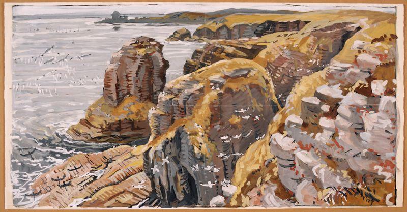 Cap Fréhel (Côtes-du-Nord)_0