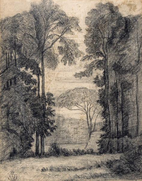 La clairière_0