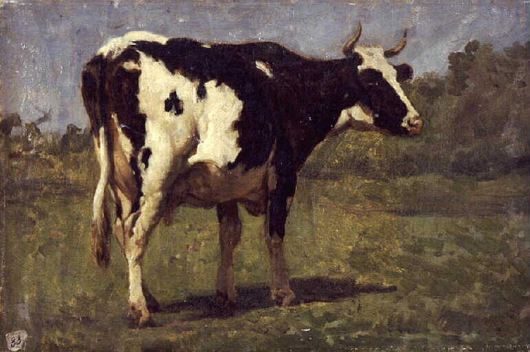 Vache blanche et noire_0