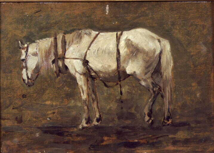 Etude de cheval blanc_0