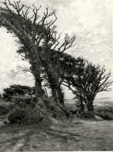 Les arbres du Pouldu_0