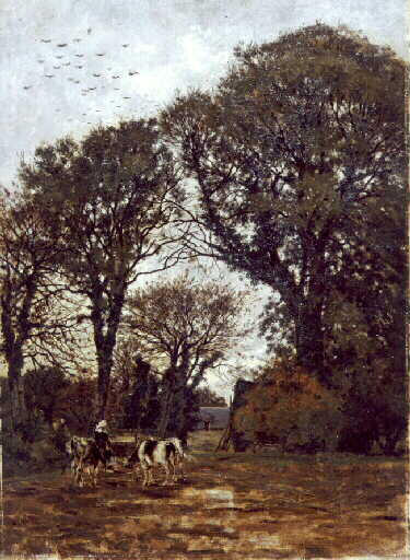 Arbres et vaches buvant_0