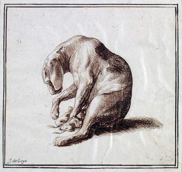 Une chienne et ses petits_0