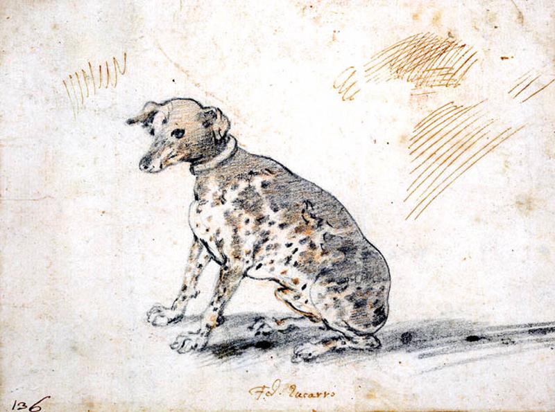 Etude de chien assis, Federico Zuccaro, 2e moitié 16e siècle