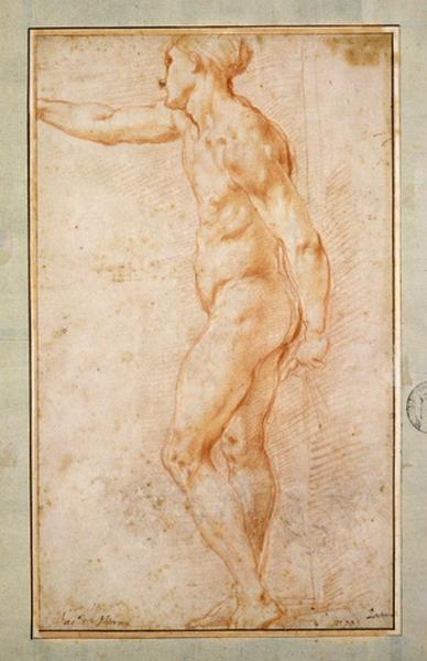 Homme nu debout tenant une draperie, Jacopo Carrucci, 1520 vers