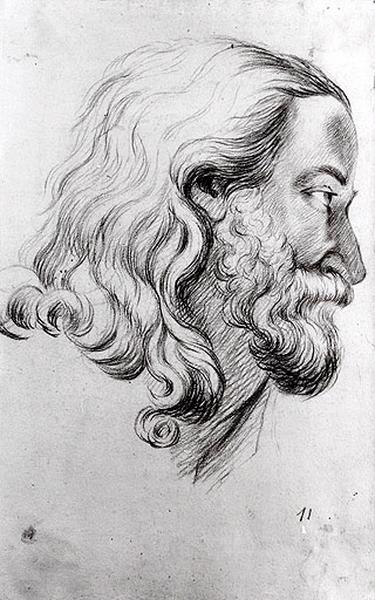 Etude d'une tête d'homme de profil, Raphaël, 2e moitié 17e siècle, 1er quart 18e siècle