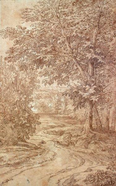 Paysage_0