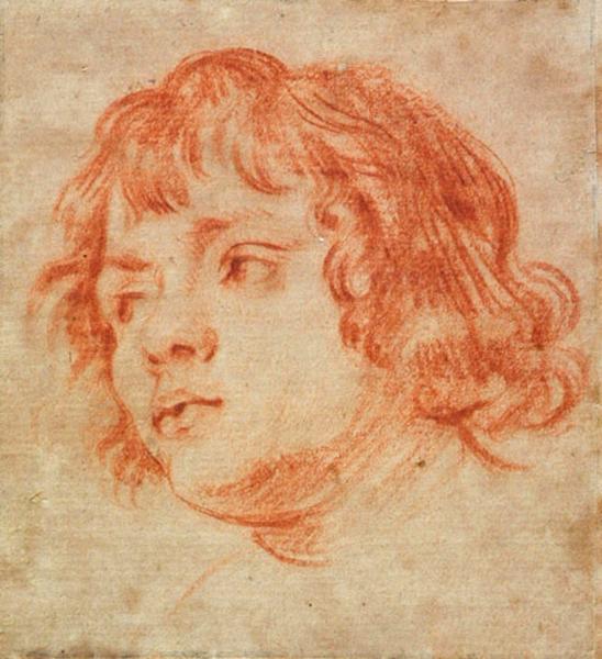 Tête d'enfant — Anthony van Dyck
