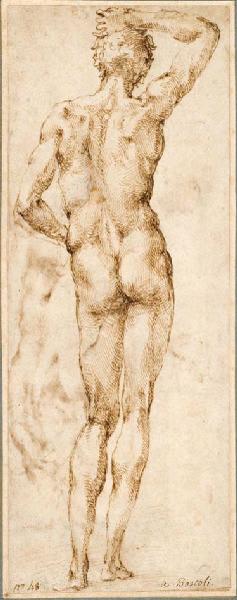 Etude anatomique d'homme vu de dos ; Etude anatomique d'homme vu de dos (au verso (visite par transparence sur le recto)), Michelangelo Buonarroti