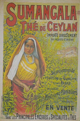 Sumangala, Thé de Ceylan / En vente dans les principales épiceries &spécialités de thés_0