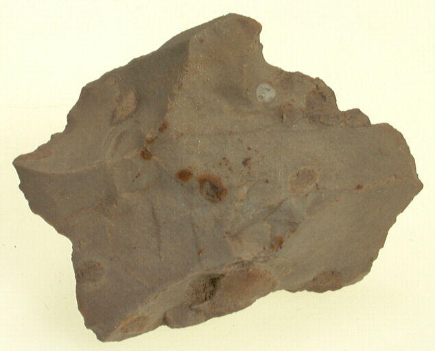 Nucleus (fragment)_0