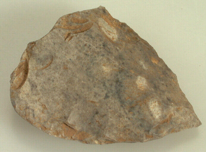 Racloir_0