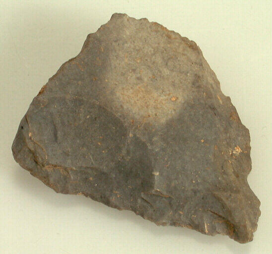 Racloir_0