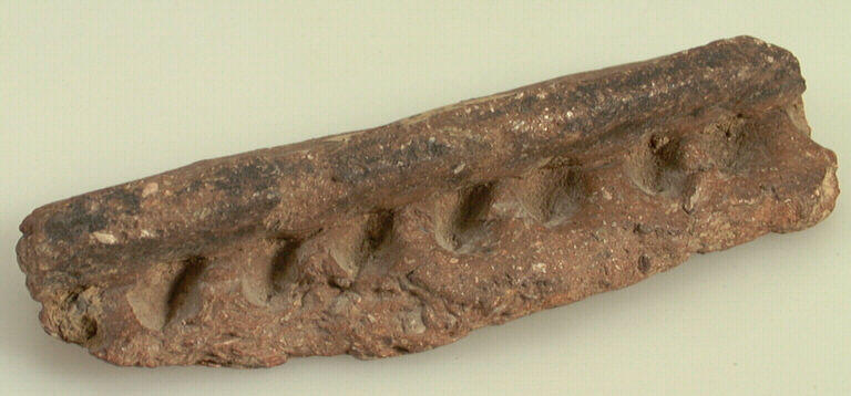 Pot (fragment)_0