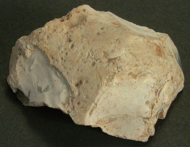 Nucleus_0