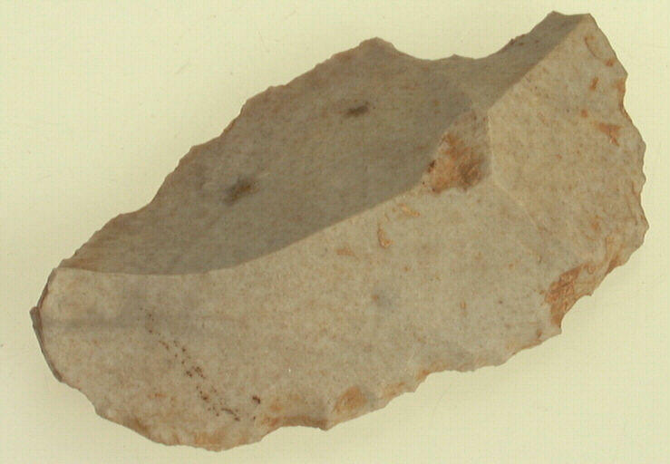 Racloir_0