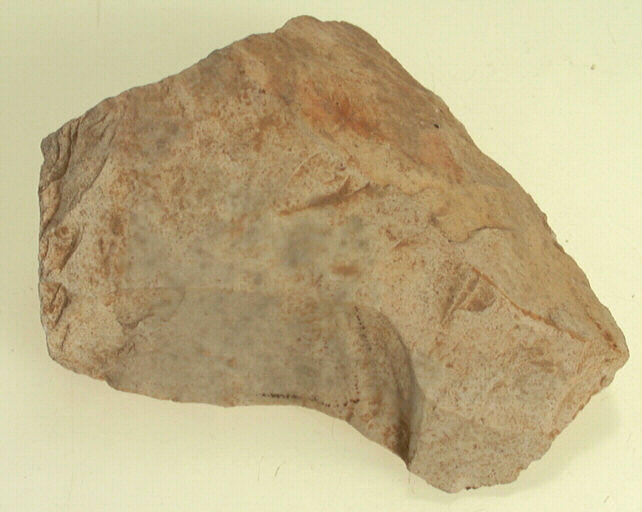 Nucleus (fragment)_0