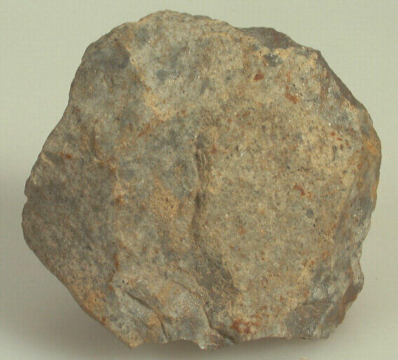 Nucleus_0