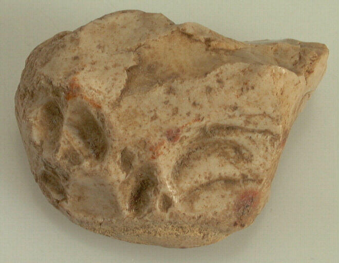 Nucleus (fragment)_0