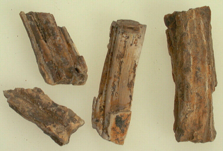 Dent (4)_0