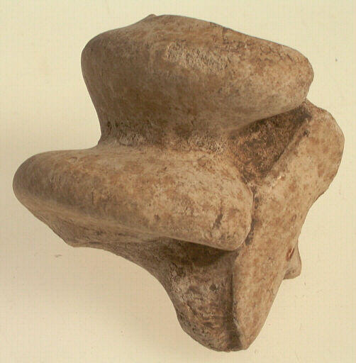 Astragale (mammifère)_0