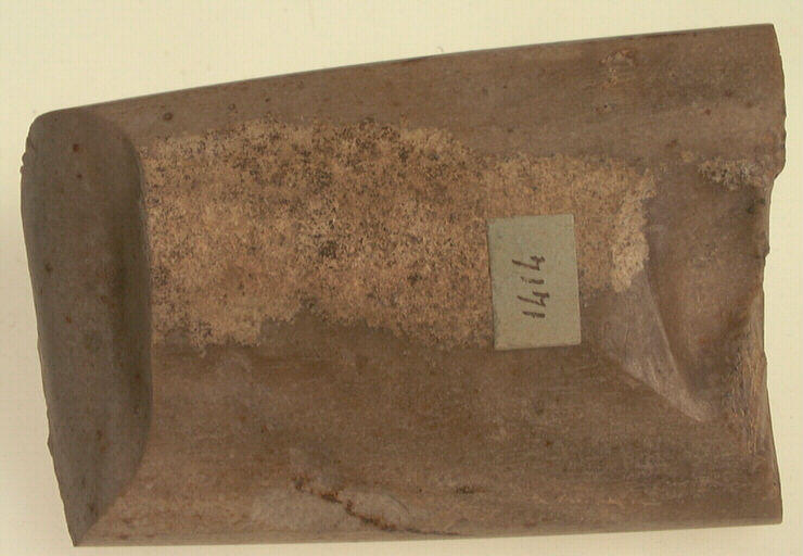 Hache polie (fragment)_0