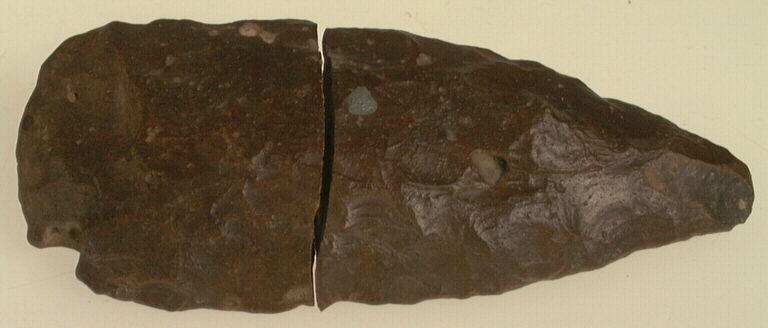 Feuille de laurier (2)_0