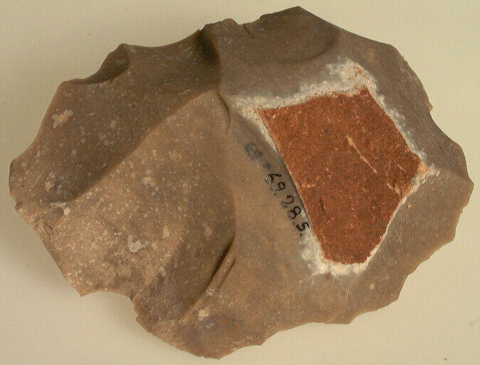 Nucleus_1
