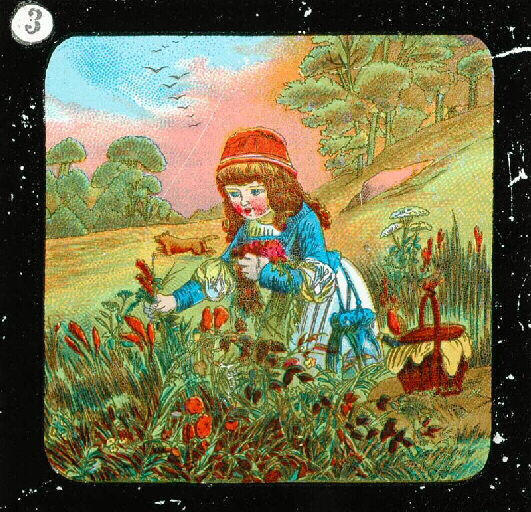 Le Petit Chaperon rouge (Titre factice)_2