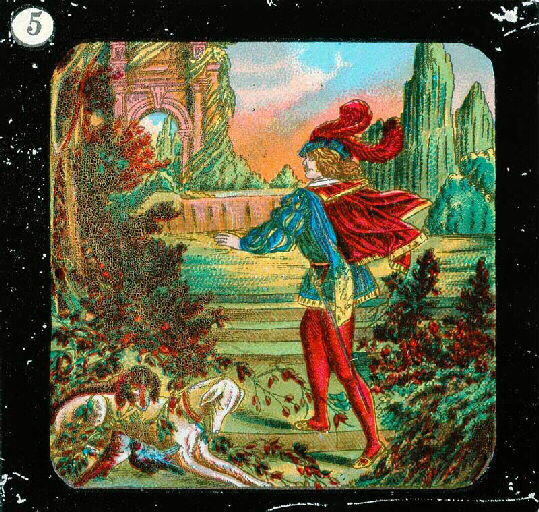 La Belle au bois dormant (Titre factice)_4